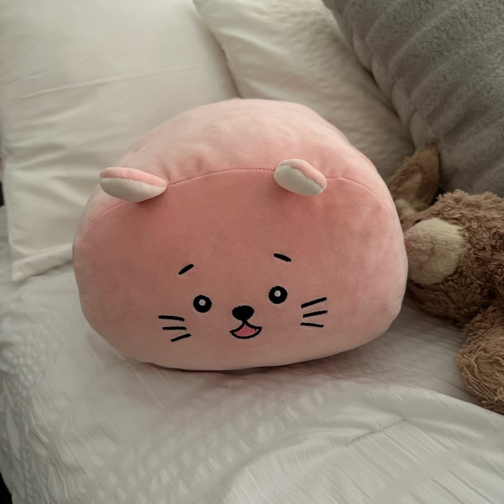 Bunny squishamallow stuffy